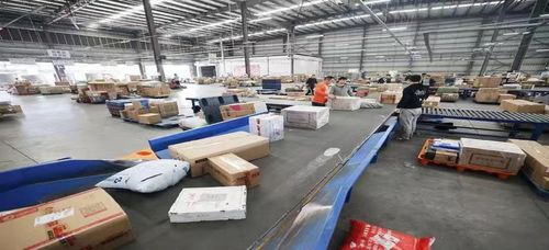 2026年q1国际货运热门公司盘点与联系全攻略